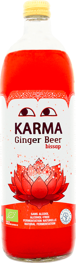 Ginger Beer Bissap