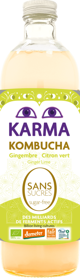 Sugar-free Kombucha Sugar-free kombucha ginger lemon